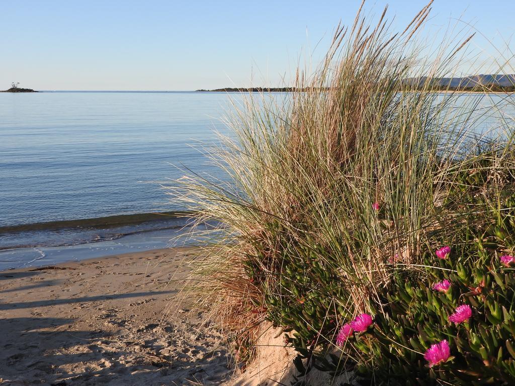 Moomba Holiday And Caravan Park Hotel Port Sorell Kültér fotó